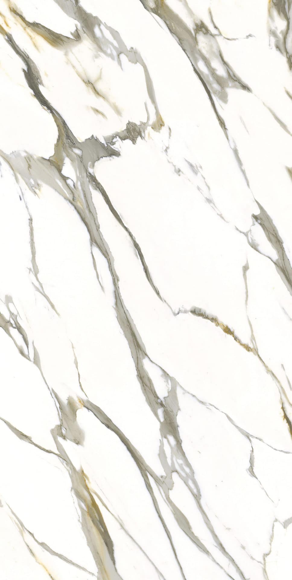 Calacatta Cream Light 5x10