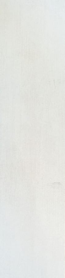 Brush Stroke Oyster 6x24
